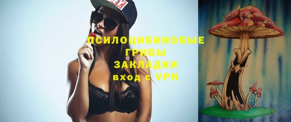 прущая мука Арсеньев