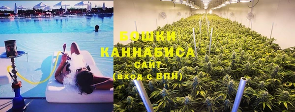 прущая мука Арсеньев