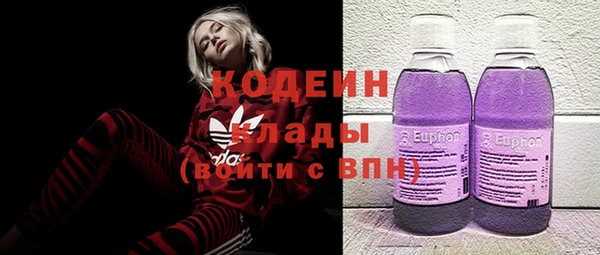 прущая мука Арсеньев