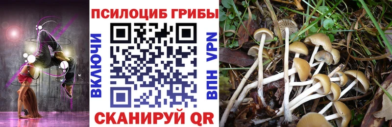 kraken рабочий сайт  Лабытнанги  Псилоцибиновые грибы мицелий 
